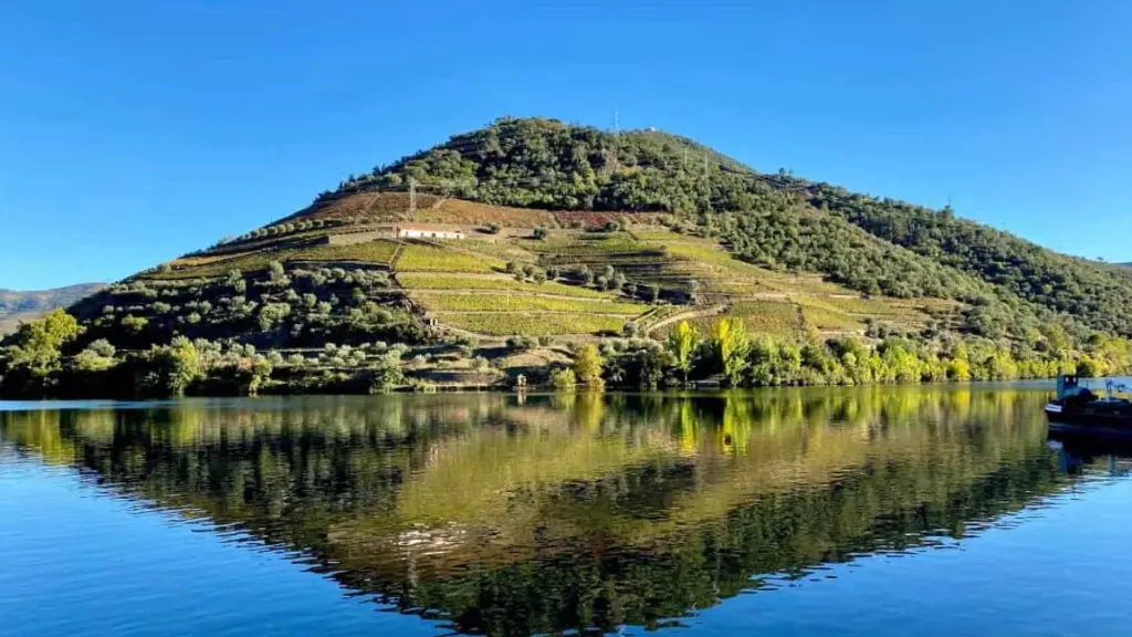 Douro Wine & Favaios Tasting Tour 3.webp
