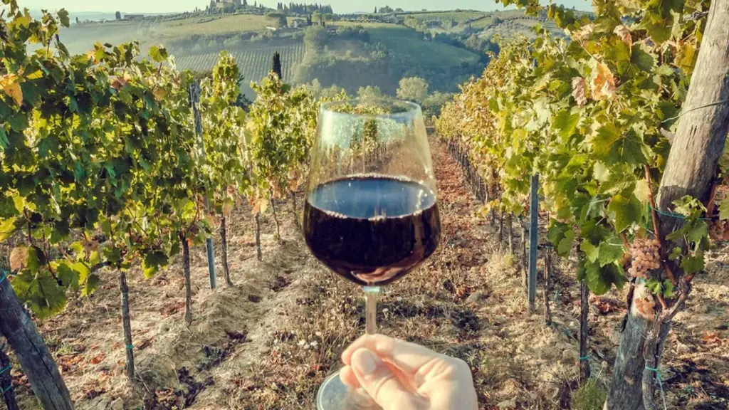 Douro Wine & Favaios Tasting Tour 5.webp