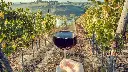 Douro Wine & Favaios Tasting Tour 5.webp