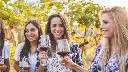 sommelier-guided-wine-tour-in-chianti-in-the-vineyards-friends .webp