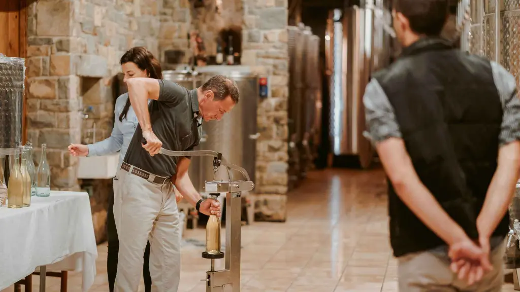 Sommelier Guided Wine Tour in Chianti in The cellar.webp