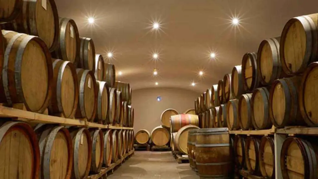 sommelier-guided-wine-tour-in-chianti-wine-cellar.webp