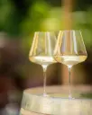 winery-salegg-tasting-white-wines.webp