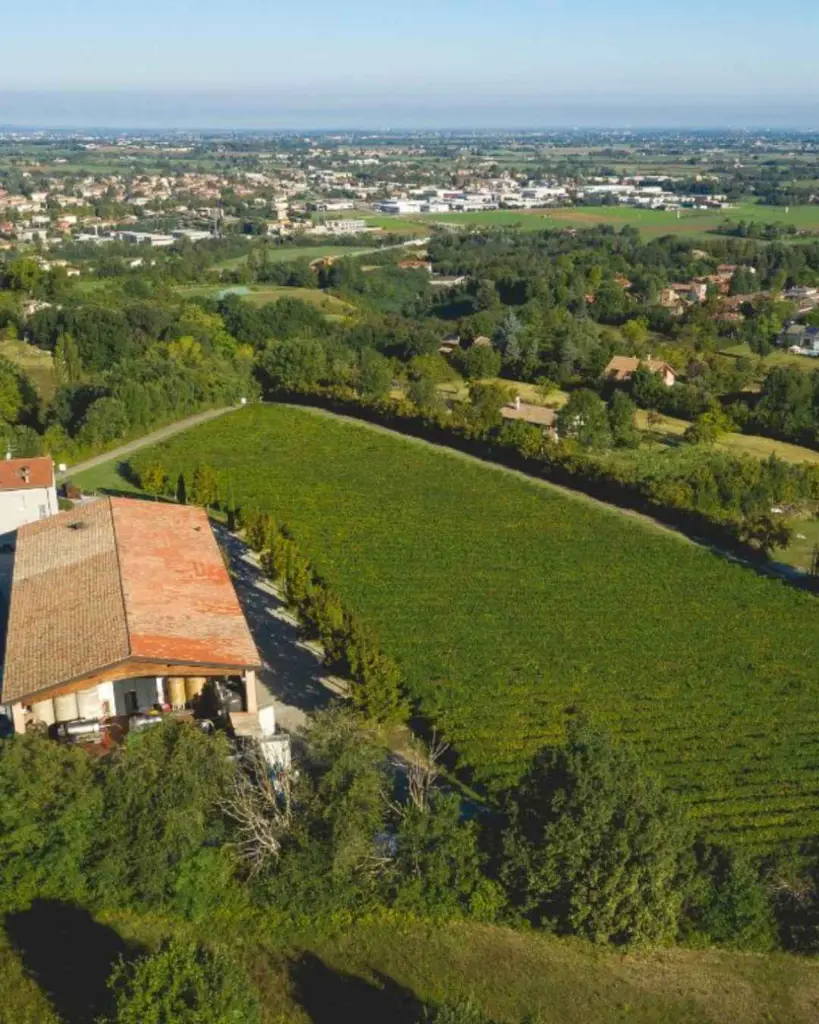 oinoe-winery-parma-italy.webp