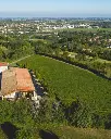oinoe-winery-parma-italy.webp