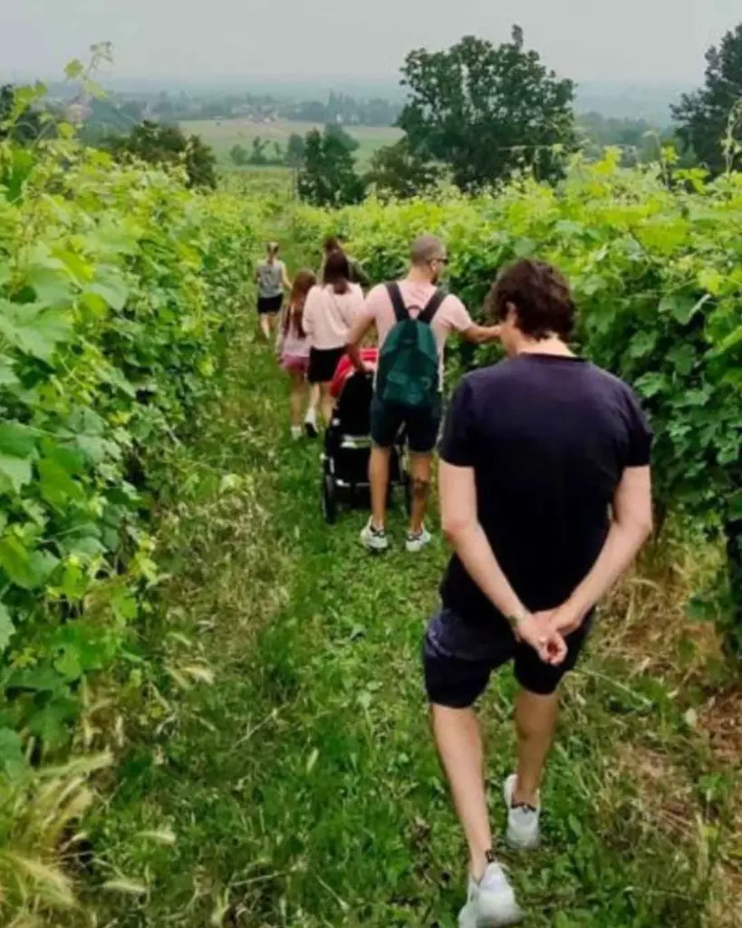 vineyard-visit-parma.webp