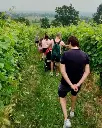 vineyard-visit-parma.webp