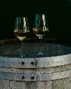 wine-tasting-italy-bologna.webp