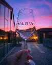 balbiano-boutique-winery-near-turin.webp