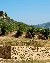 umbria-perugia-italy-vineyards.webp