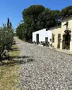 tenuta-la-pinela-winery-tuscany.webp