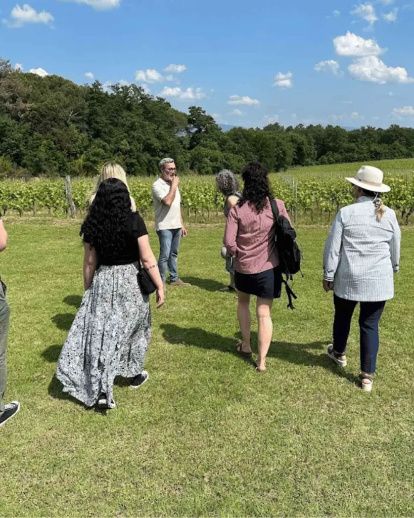 vineyard-tour-arezzo-tuscany.webp