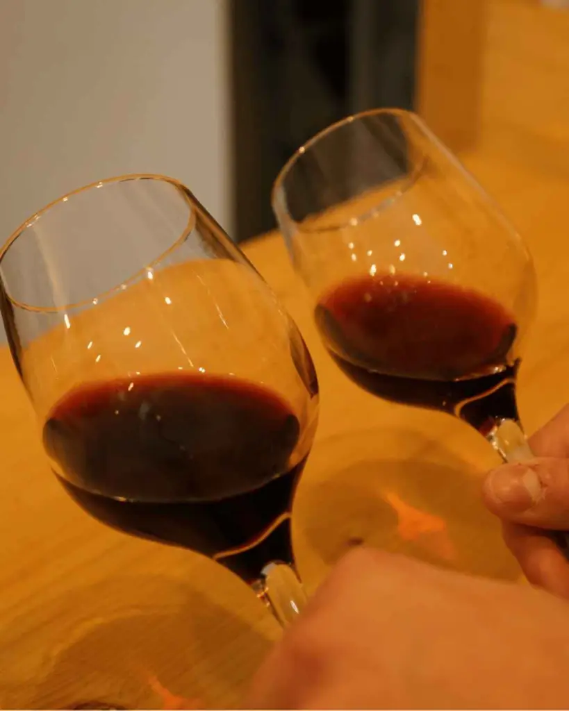 red-wine-tasting-torino-city-center.webp