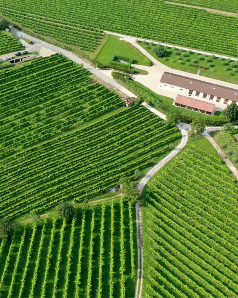 san-gregorio-winery-veneto-prosecco.webp