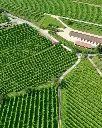 san-gregorio-winery-veneto-prosecco.webp