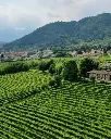 family-winery-prosecco-area.webp