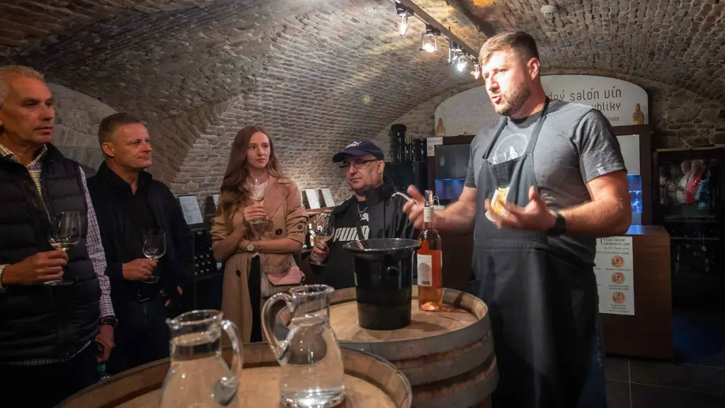 sommelier-tour-bratislava-slovakia-somalier-visit-and-tasting.webp
