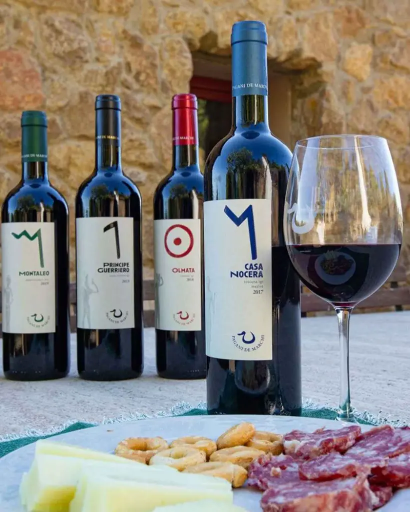 wine-tasting-pagani-de-marchi-tuscany.webp