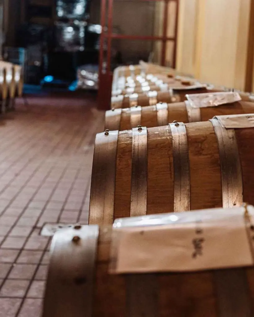 barrel-room-pagani-de-marchi-winery-tuscany.webp