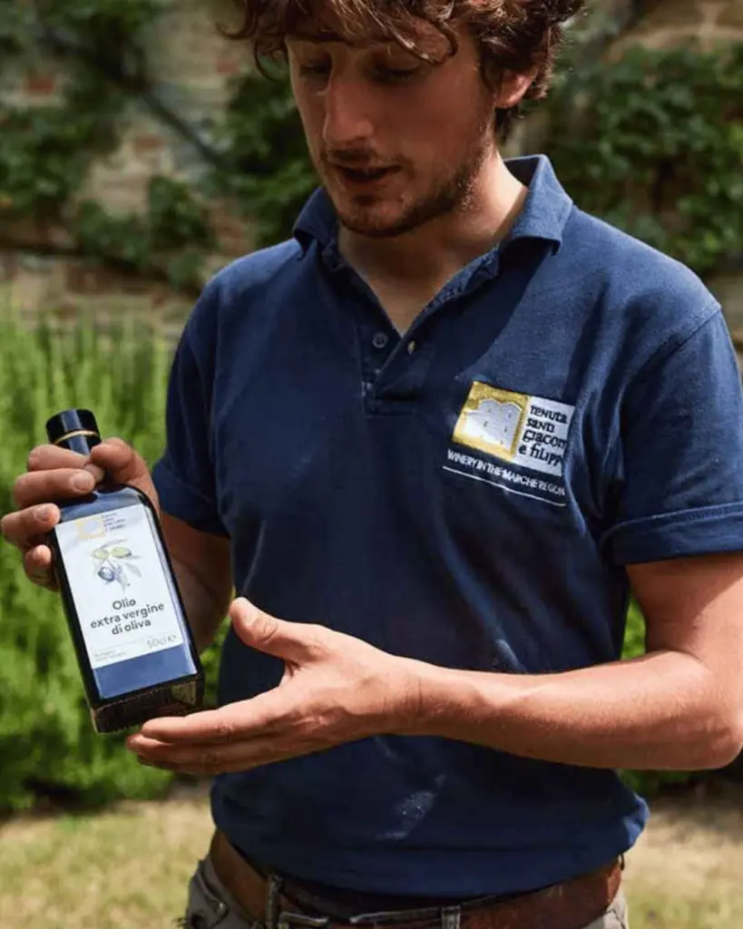 organic-olive-oil-marche-italy.webp