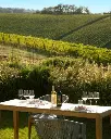 outdoor-wine-tasting-near-bologna.webp
