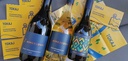 Himesudvar - Classic wine tasting in Tokaj