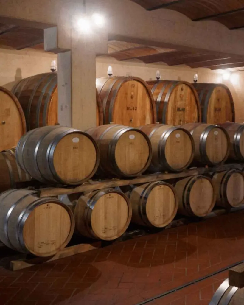 barrel-cellar-tenuta-belguardo-tuscany.webp
