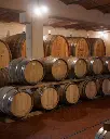 barrel-cellar-tenuta-belguardo-tuscany.webp
