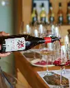 tenuta-belguardo-wine-tasting-tuscany.webp
