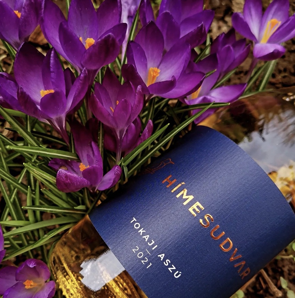 Himesudvar - Vineyard tour in Tokaj