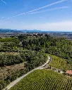 monte-solaio-tuscany-winery.webp