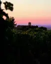 roman-castles-wine-tasting.webp