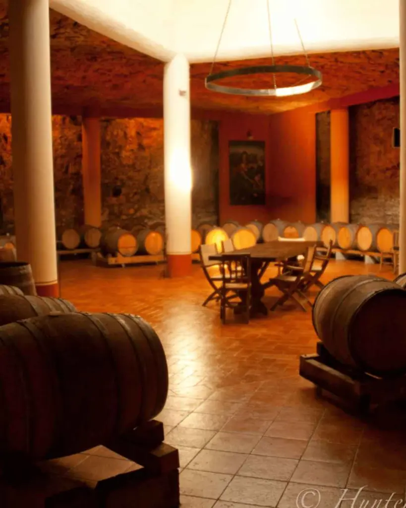 wine-cellar-ca-bruzzo-winery-italy-vicenza.webp