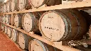 cantina-berioli-winery-perugia-italy.webp