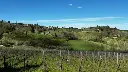 l'agona-vineyard-tuscany.webp
