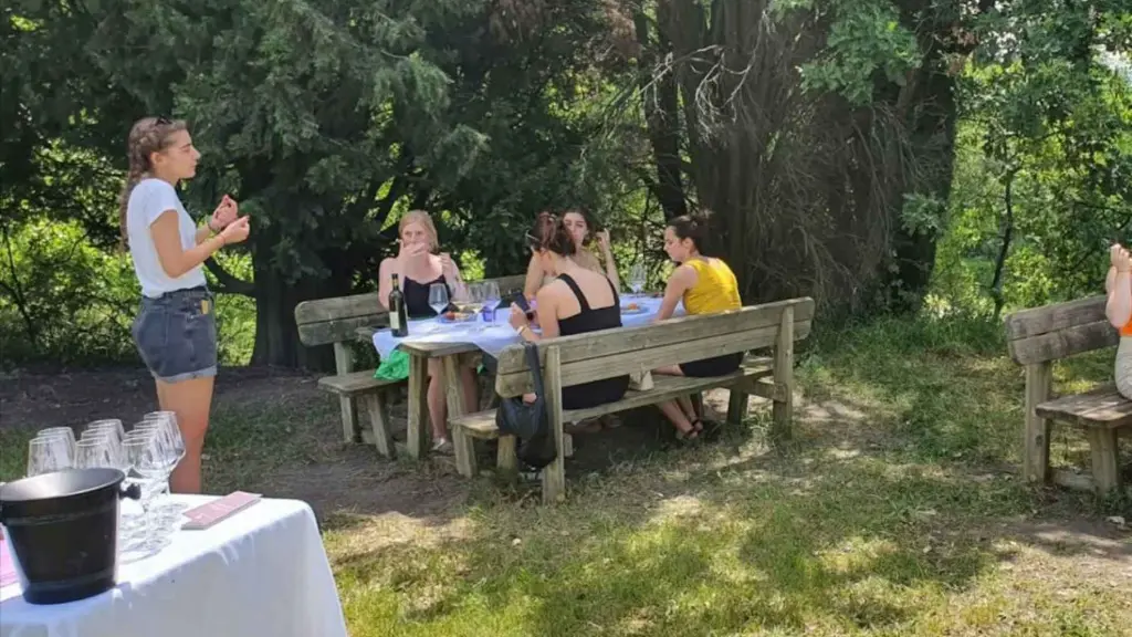 outdoor-wine-tasting-cantina-tomisa-bologna-italy.webp
