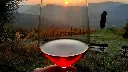 organic-wine-tasting-near-bologna.webp