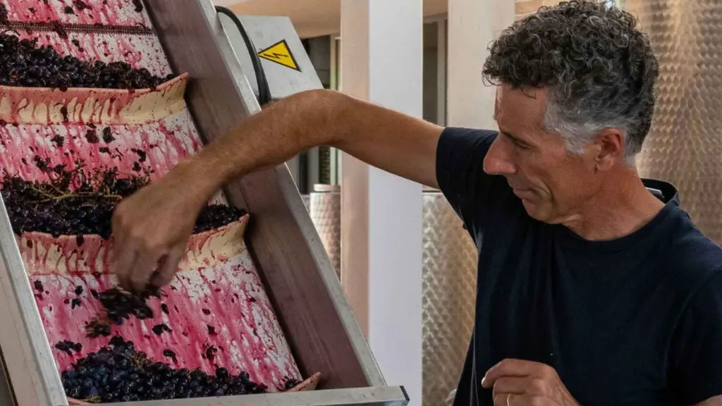 winemaker-podere-vecciano-rimini-italy.webp