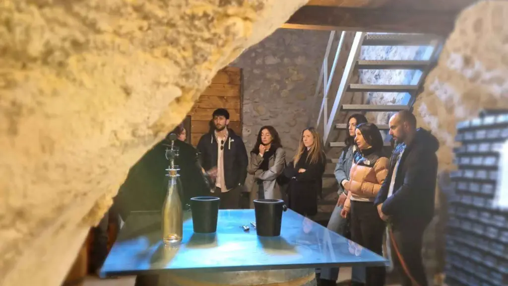 cantina-la-macchie-cellar-tour.webp