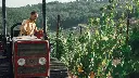 altiero-tuscany-sustainable-winery.webp