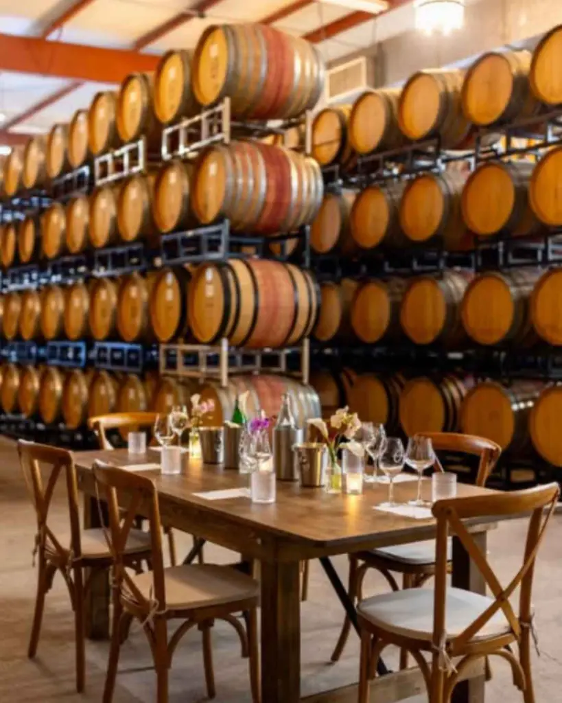 orfila-wine-cellar-visit-california.webp