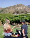 orfilia-outdoor-visit-tasting.webp