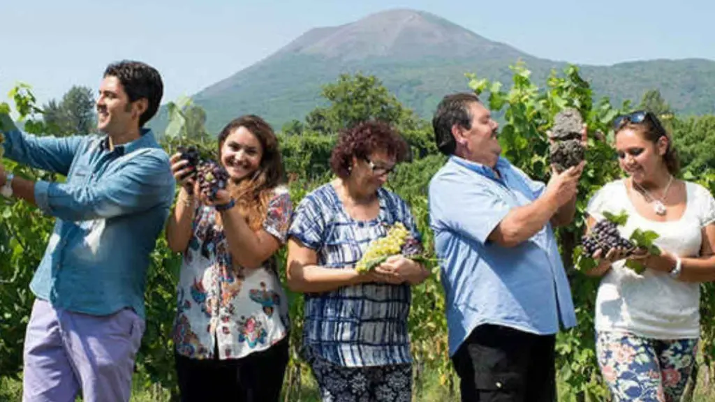 organic-family-winery-sorrentino-vini-vesuvio-napoli.webp