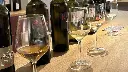 wine-tasting-trieste-italy.webp