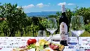 tili-vini-organic-wine-tasting-italy.webp