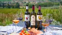 organic-wine-tasting-tili-vini-perugia-italy.webp