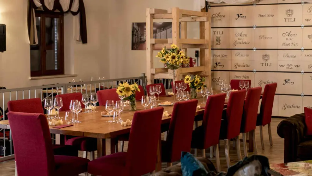 tili-vini-wine-tasting-room-italy.webp