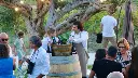 cantina-chitarra-wine-tatsing-italy-sicily.webp