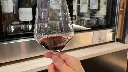 wine-tasting-florence-italy.webp