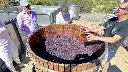 australia-barossa-valley-meet-the-wine-maker.webp